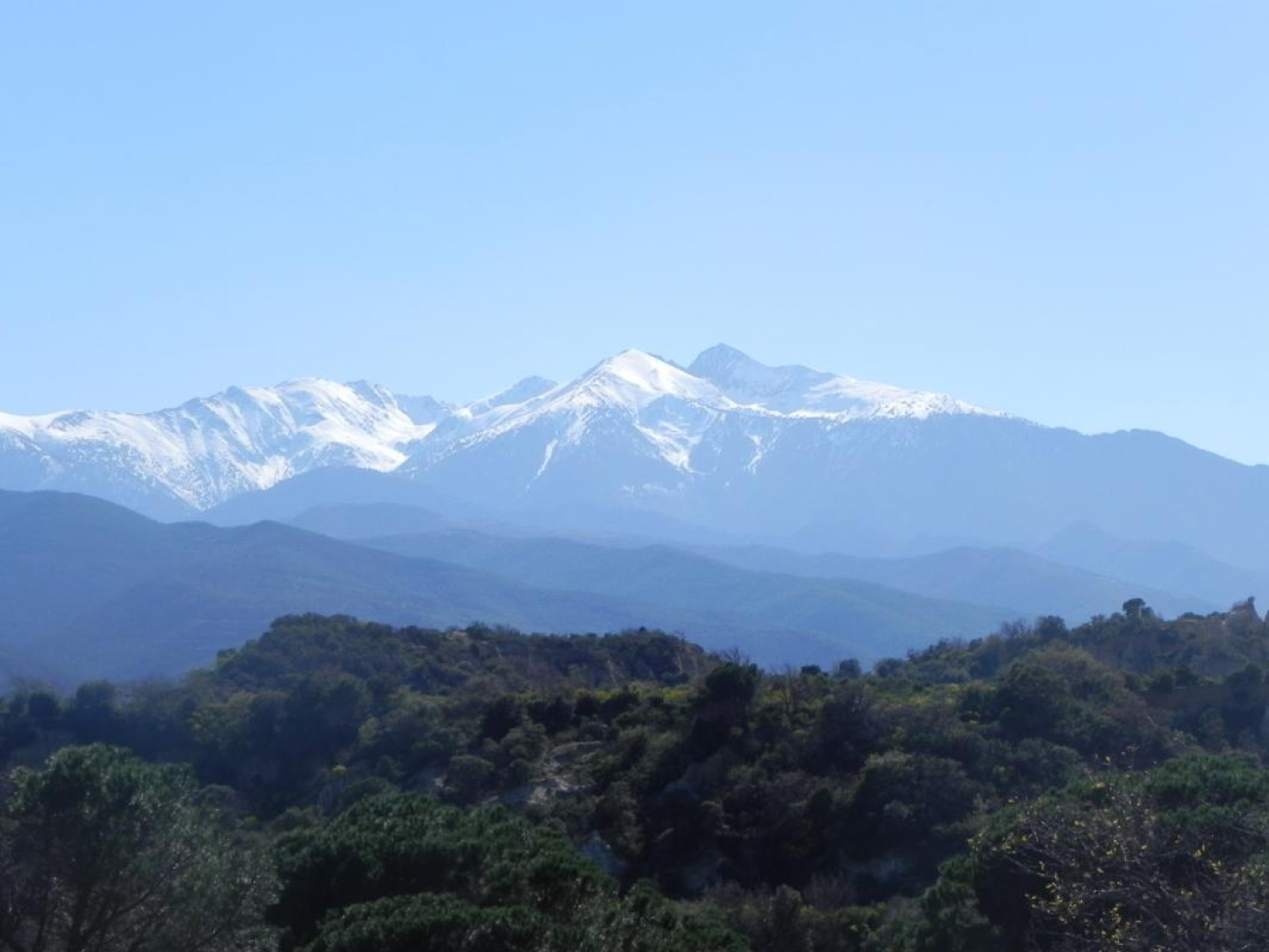 LA COUR, Millas - photo 31