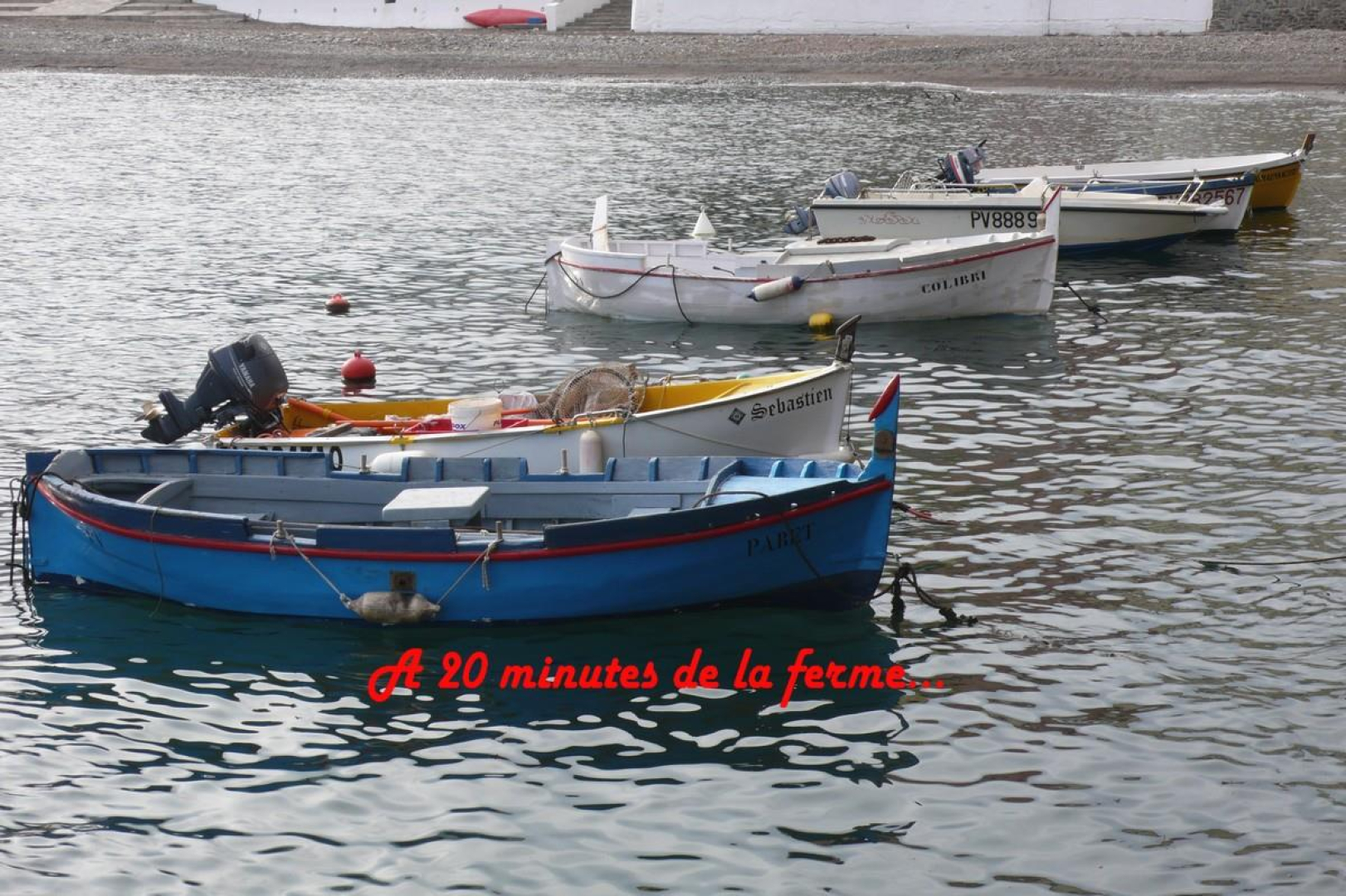 LA COUR, Millas - photo 20