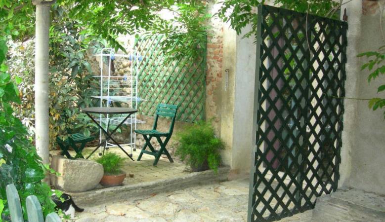 La glycine_11