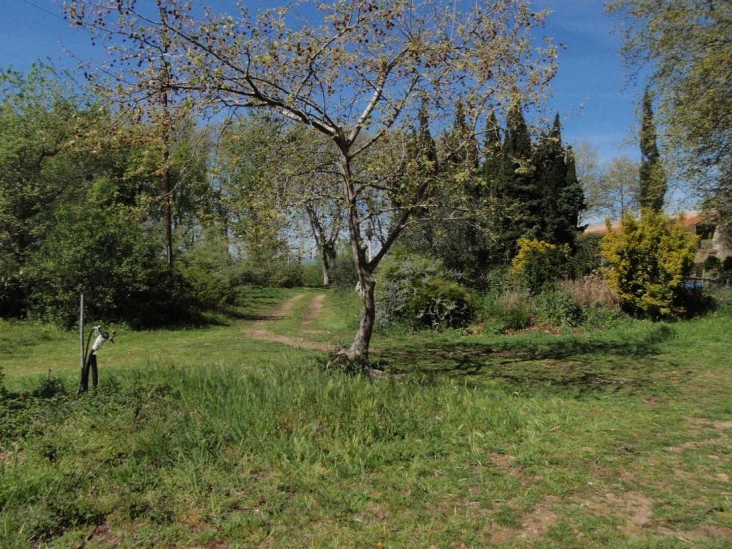 LA GLYCINE, Millas - photo 26