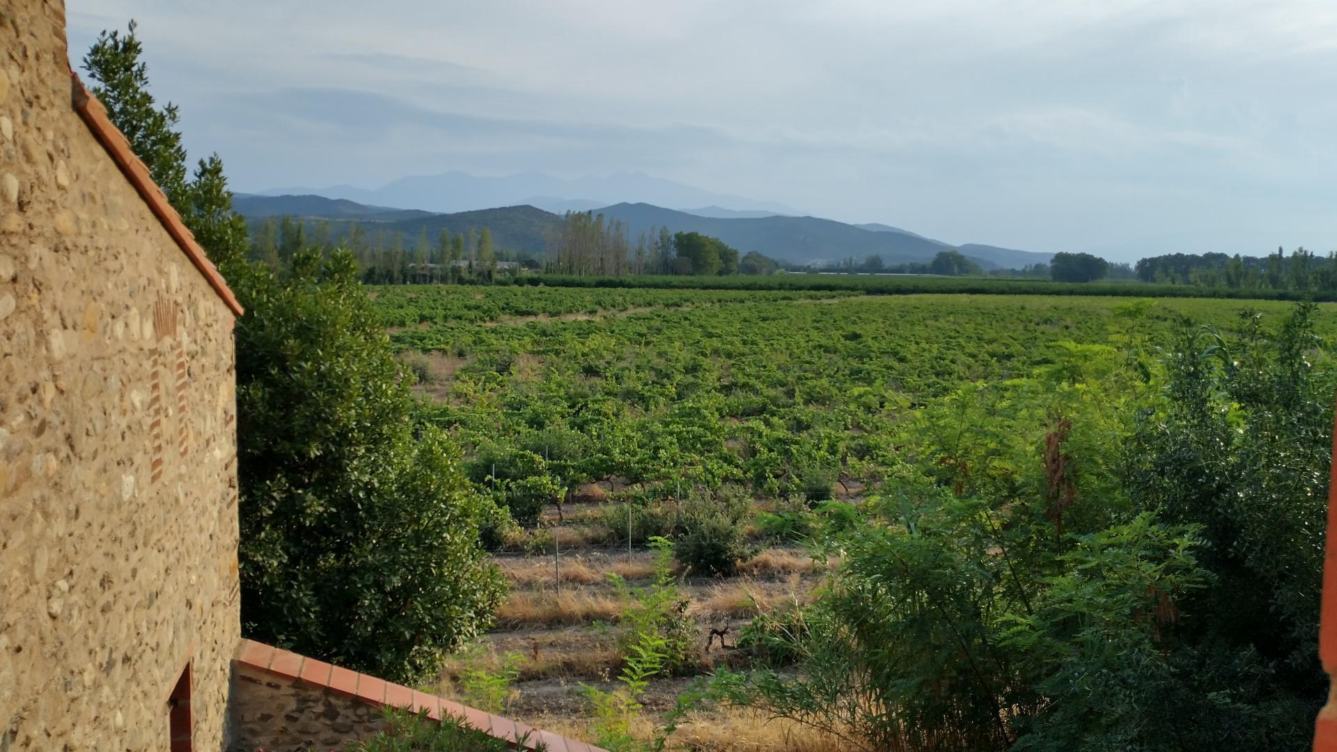 LE MOULIN D'EN BURGAT, Millas - photo 22