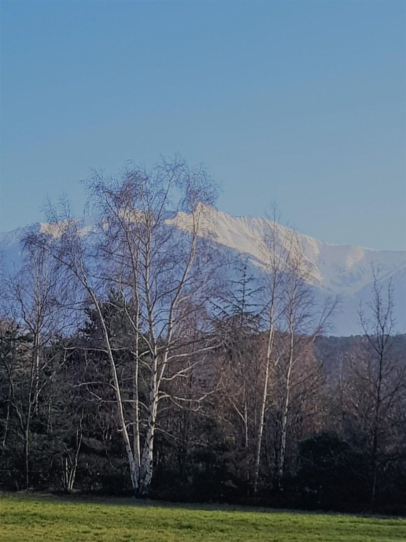 CÔTÉ  COUR-TERRASSE, Molitg-les-Bains - photo 28
