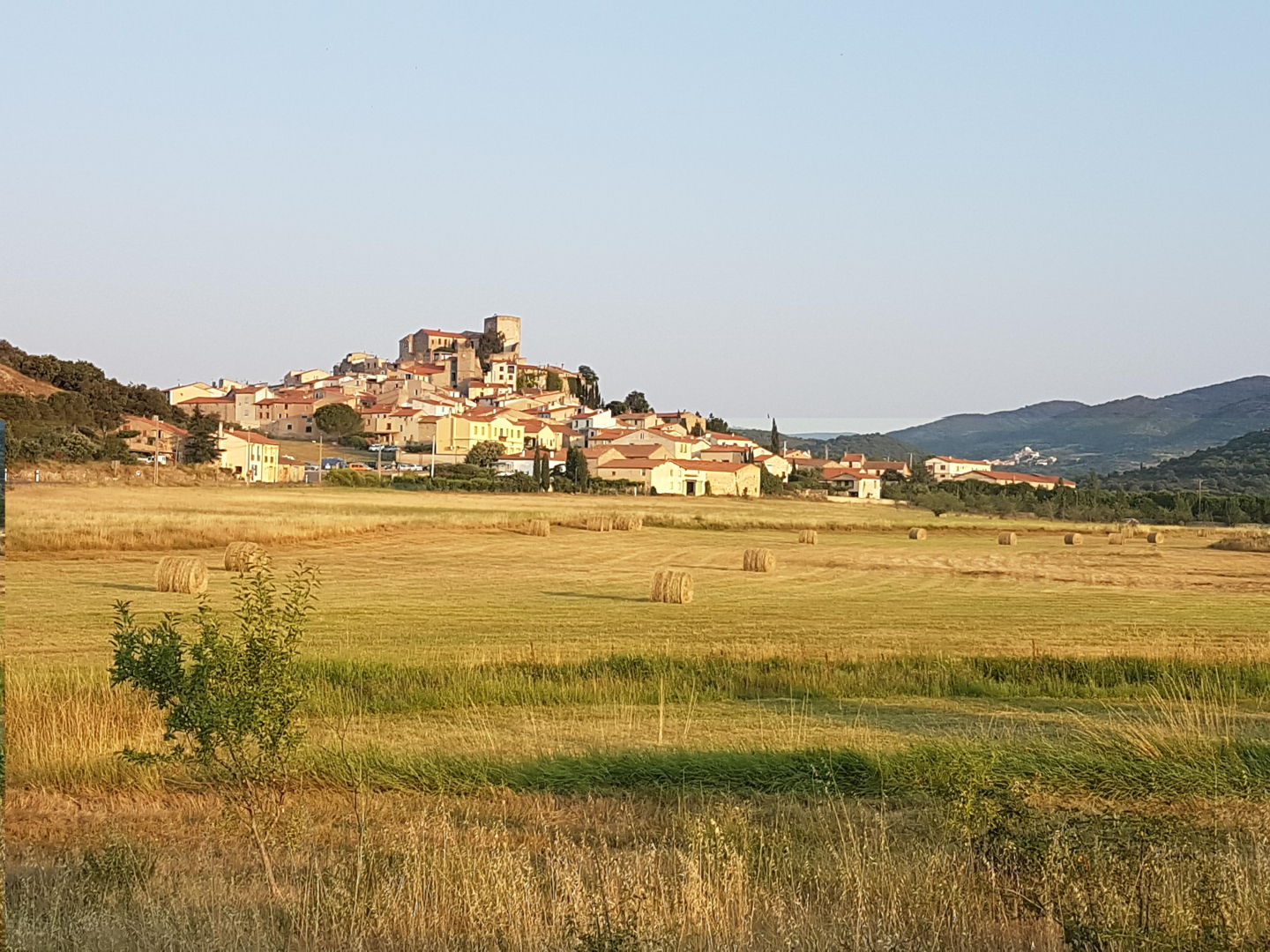 TERRASSE, Montalba-le-Château - photo 19