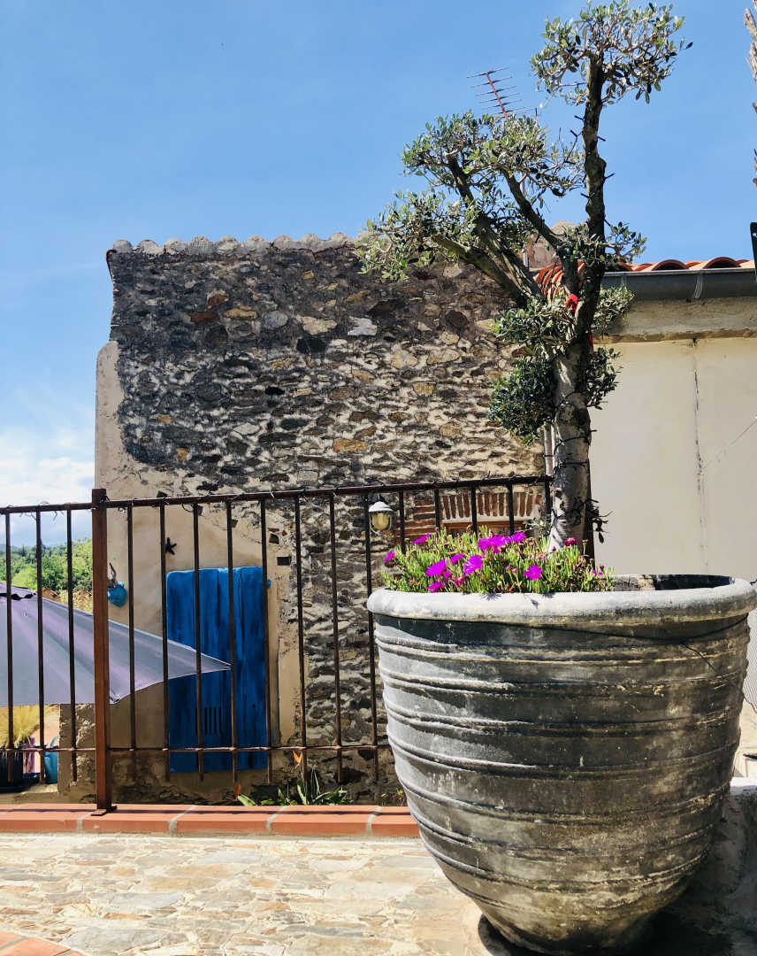 LE MAS DES ALBÈRES, Montesquieu-des-Albères - photo 50