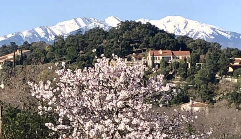 Le Mas des Albères_32