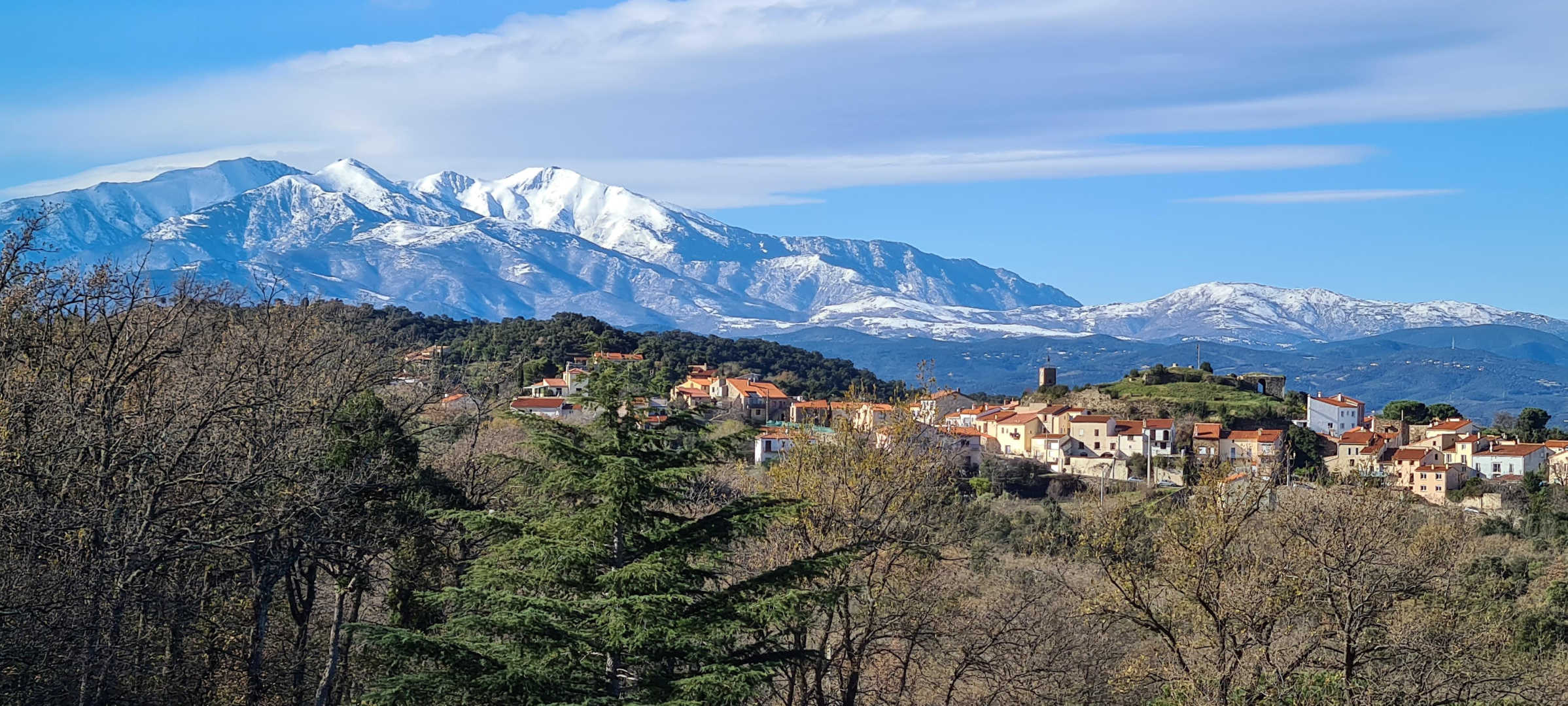 LE MICOCOULIER, Montesquieu-des-Albères - photo 52