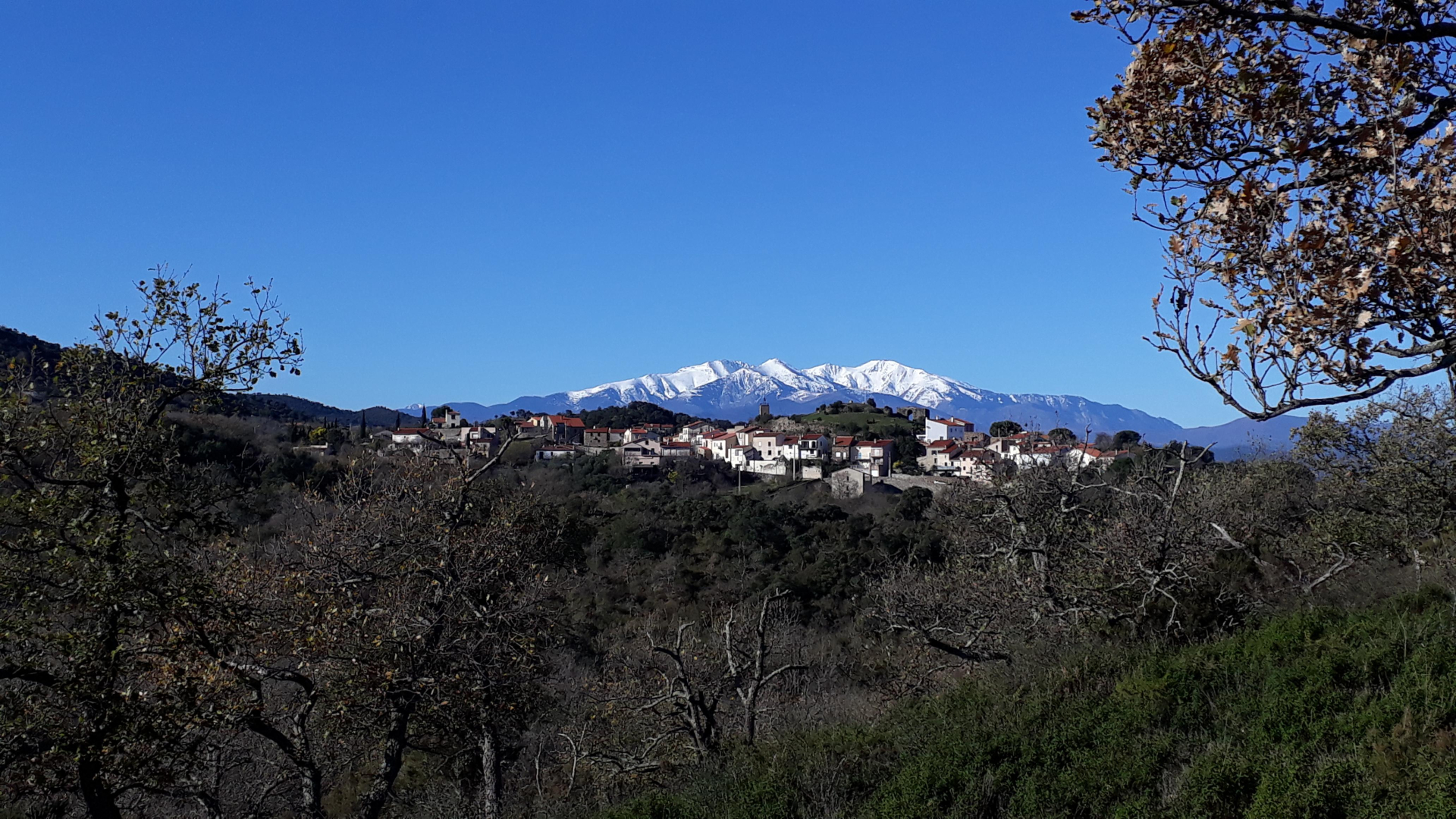 LE MICOCOULIER, Montesquieu-des-Albères - photo 36