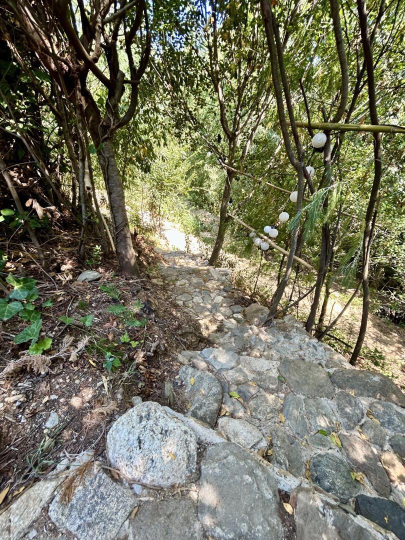 CASOT ÉTOILÉ, Montesquieu-des-Albères - photo 31