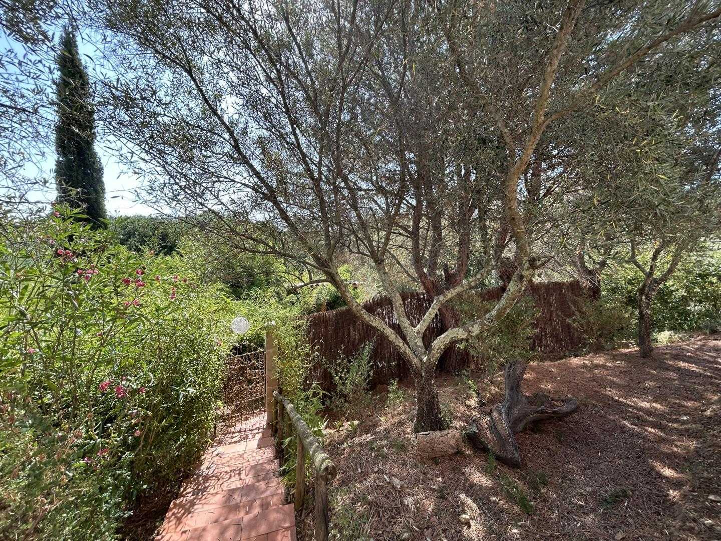 CASOT MERVEILLE, Montesquieu-des-Albères - photo 6