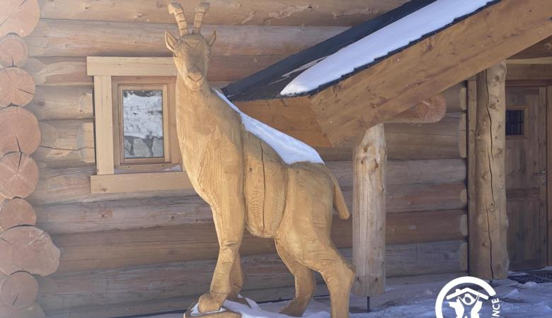 Chalet lodge l'isard_5