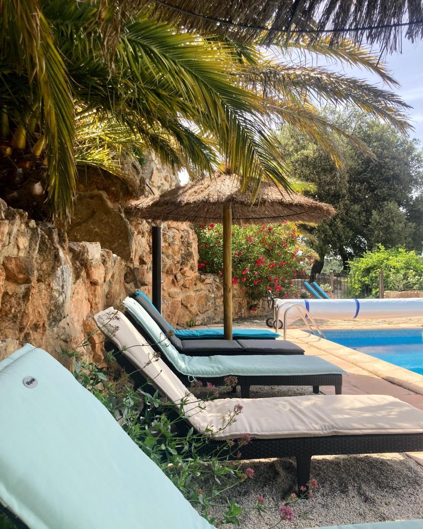 66G112610 3f75024c56c84d6da1a71eb47eb8d651