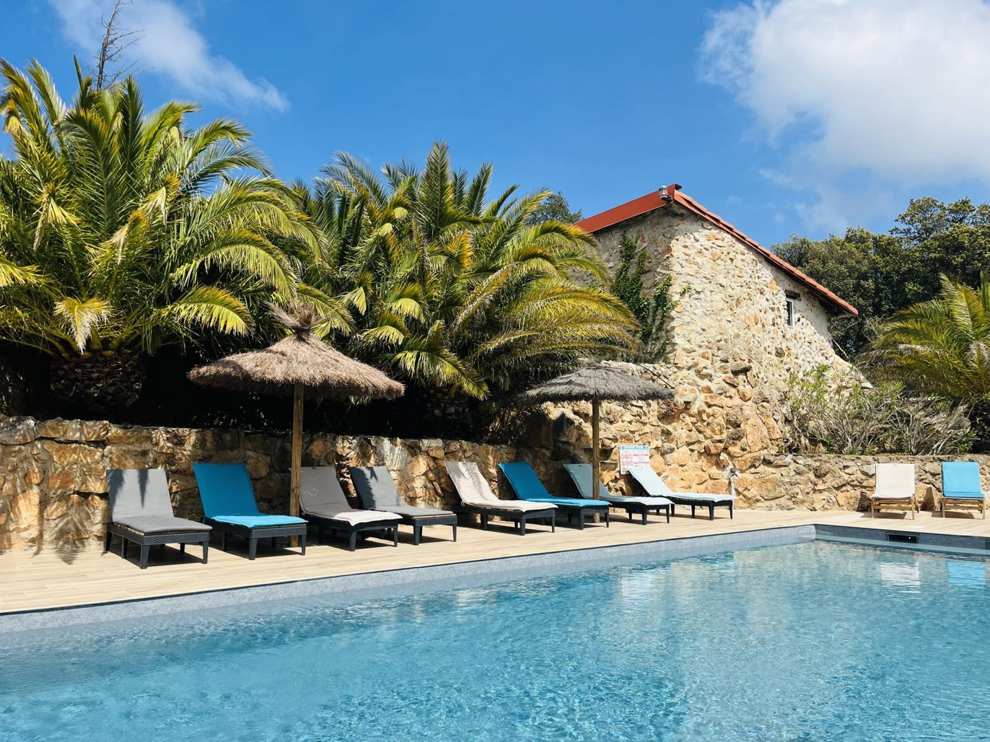 66G112610 e7652a78fc7e48a8b6dff386222df332