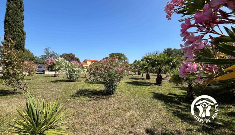 Mas des Palmiers - Gîte Albères_12 Mas des Palmiers - Gîte Albères_12