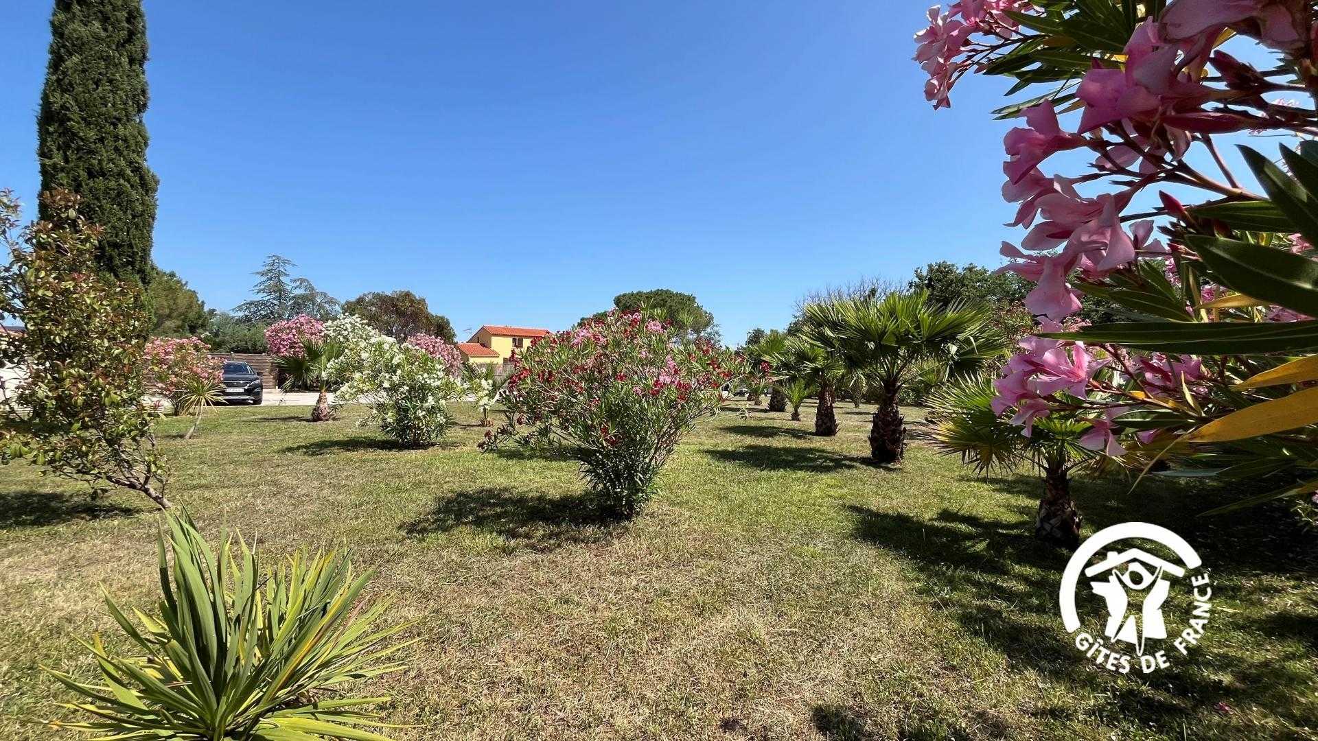 MAS DES PALMIERS - GÎTE ALBÈRES, Ortaffa - photo 16