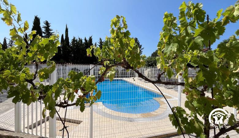 Mas des Palmiers - Gîte Albères_2 Mas des Palmiers - Gîte Albères_2