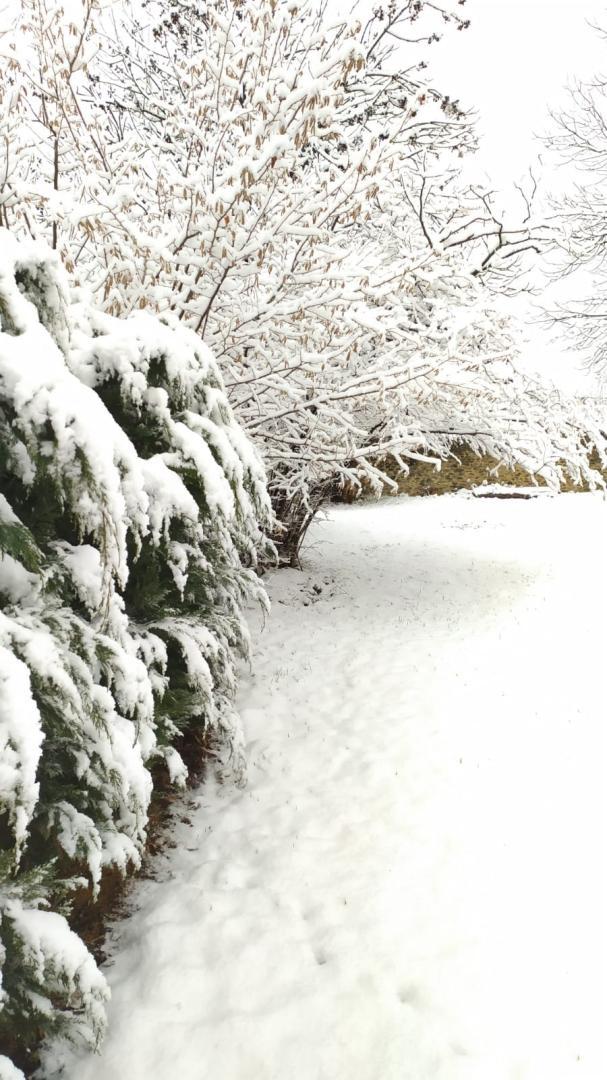 CAL TEIXIDOR CASA, Osséja - photo 28