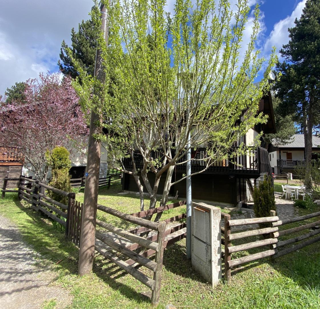 ALS ESQUIROLS - photo 3