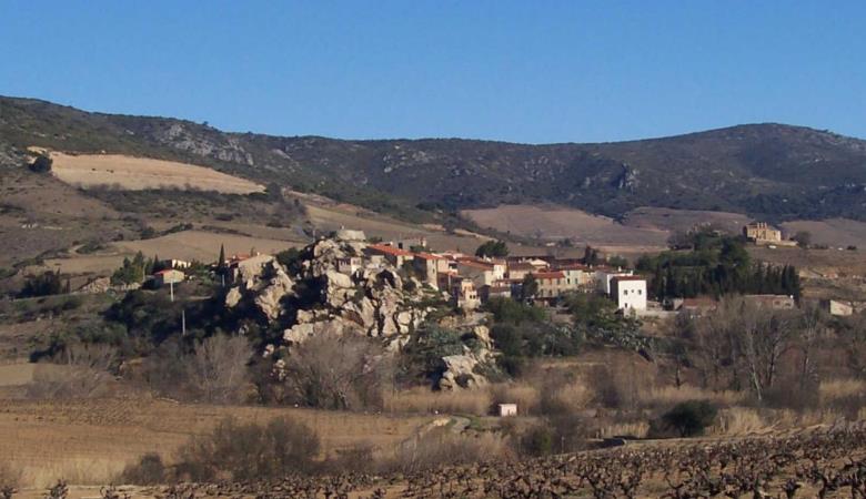 Carignan_6