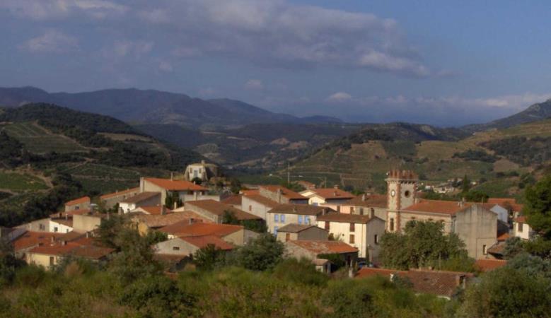Carignan_14