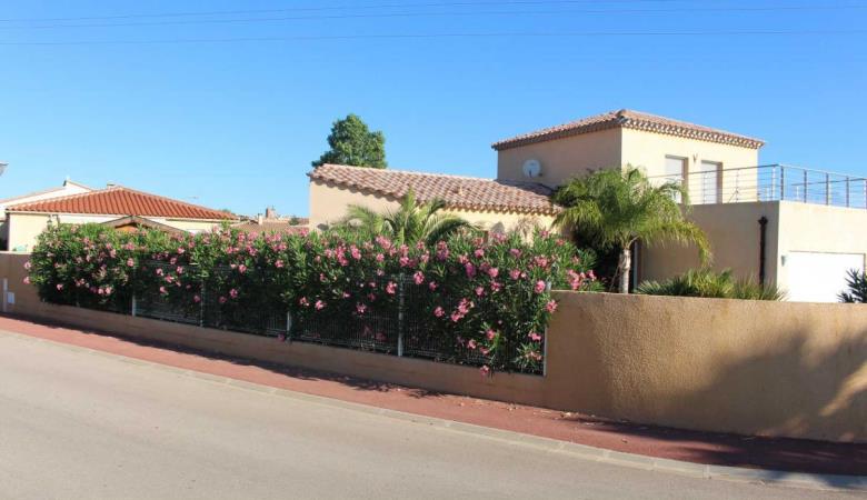 les Cycas_9