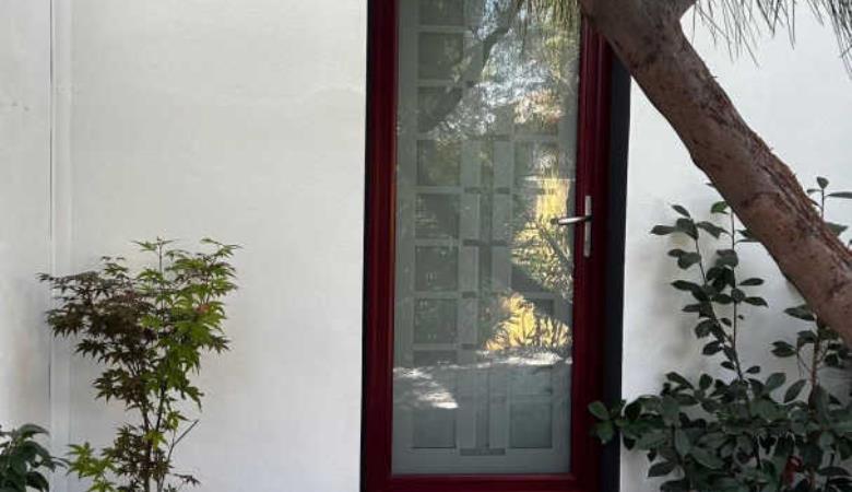 les Cycas_16