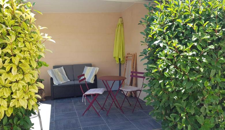 les Cycas_19