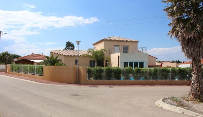 les Cycas_4