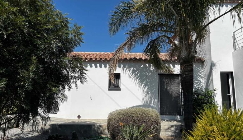 les Cycas_10
