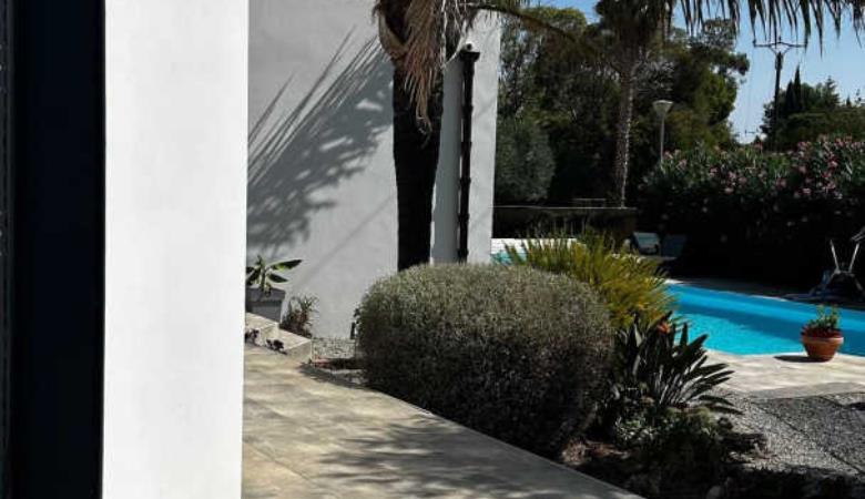 les Cycas_17