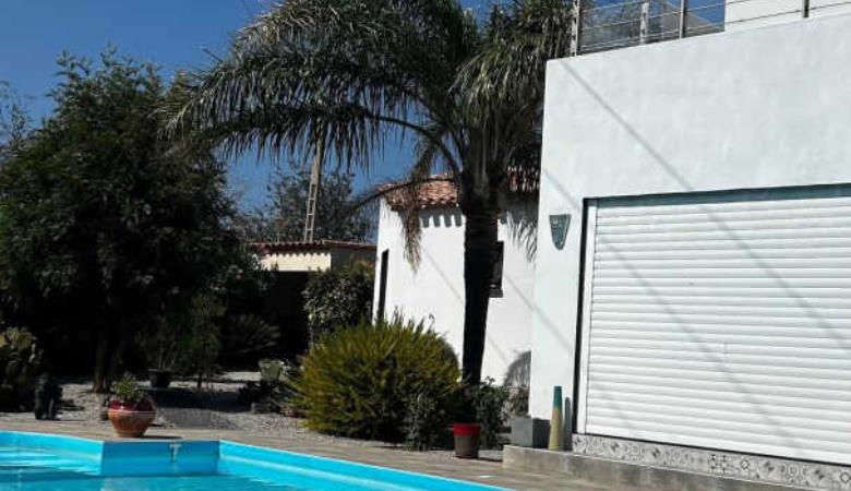 les Cycas_27