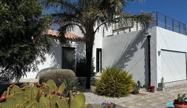 les Cycas_2
