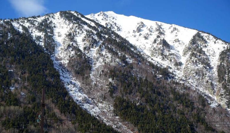 Le lièvre_20