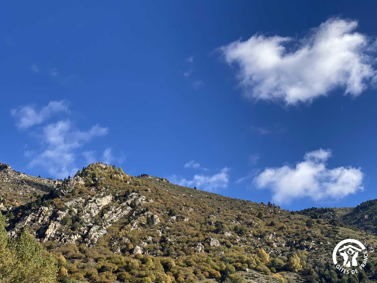 LES BOUILLOUSES, Porta - photo 65