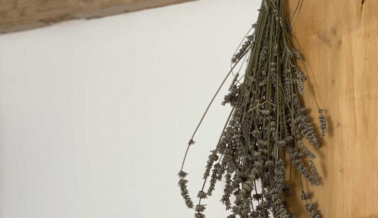 Les Bouillouses_14