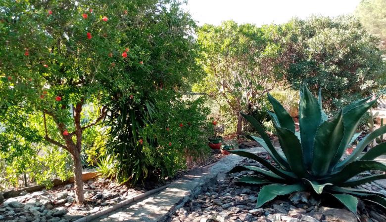 La Villa Andréanne- Gîte Vinya_28