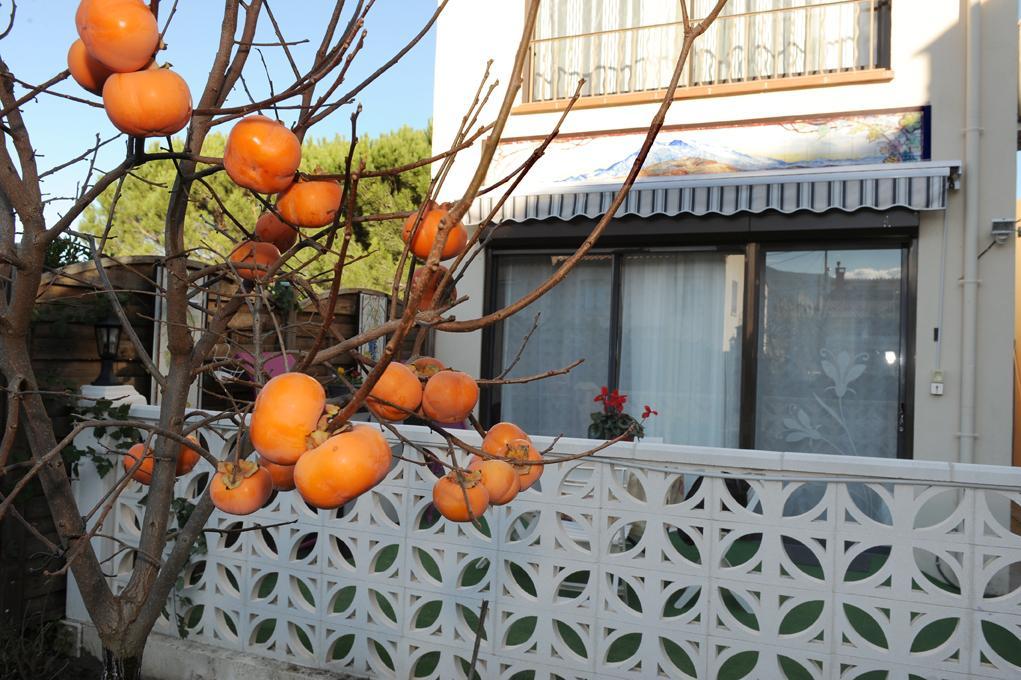 LE PAVILLON DE DIANE, Prades - photo 41