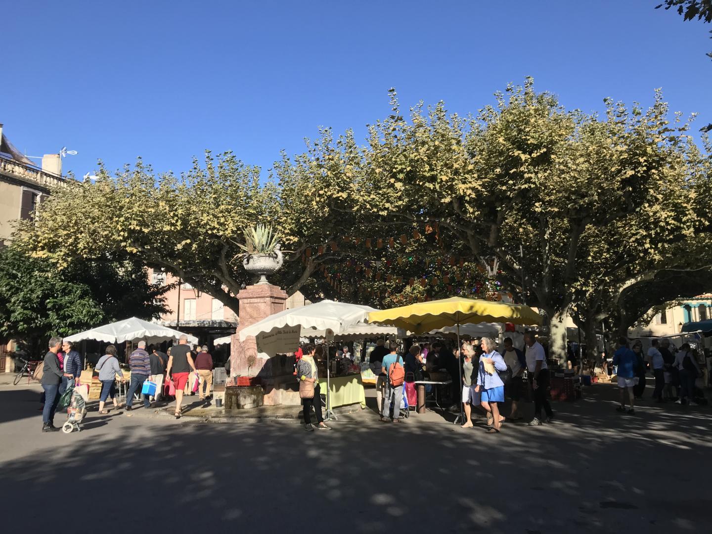 LE PAVILLON DE DIANE, Prades - photo 63