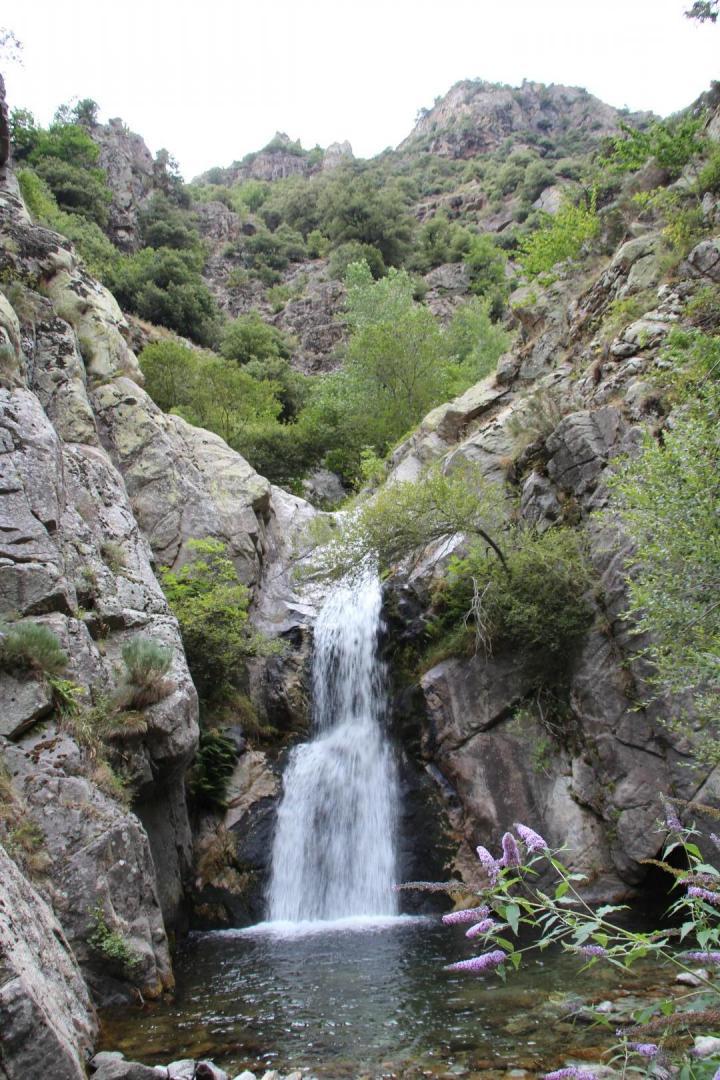 PAVILLON CLARA FLOR, Prades - photo 86