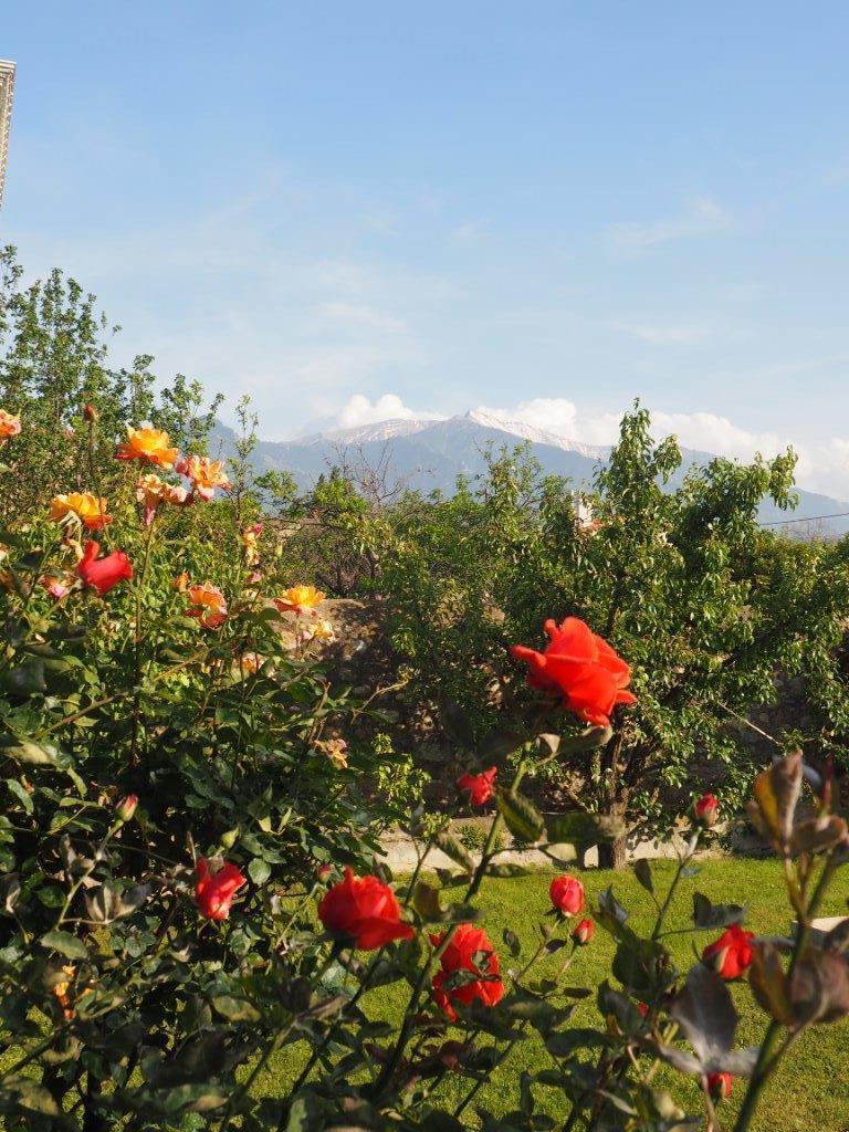 LA VILLA CATALANE, Prades - photo 48