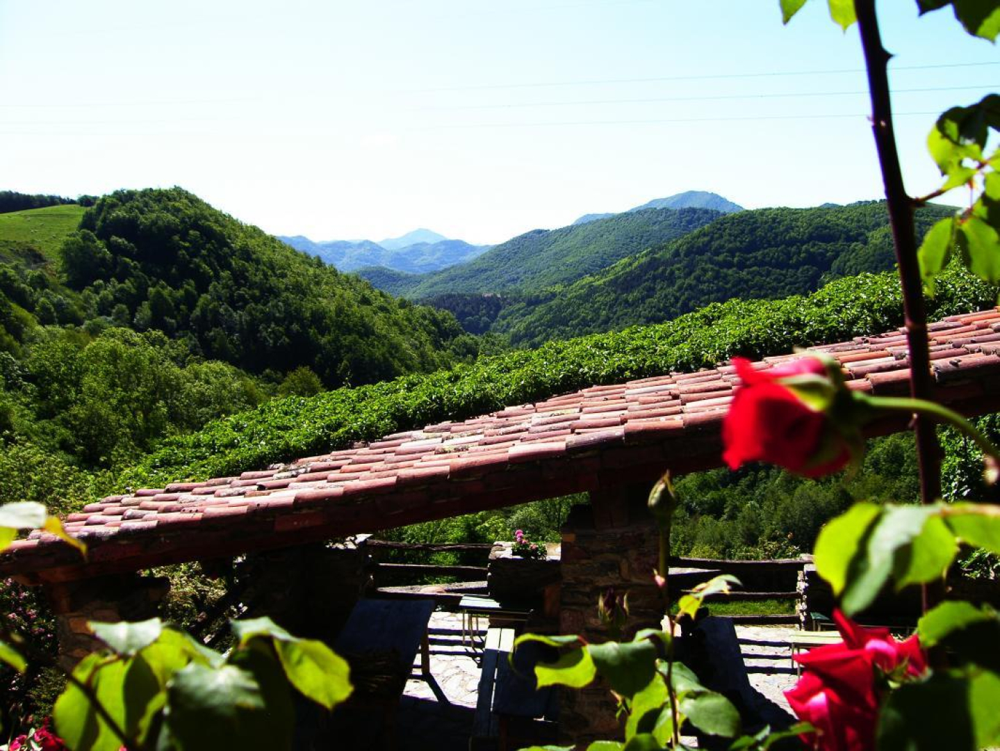 AFRIQUE BLEUE - photo 4