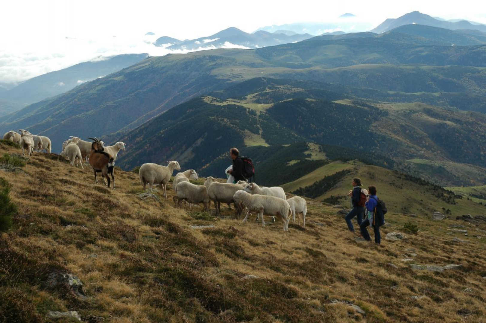 LA COUME DEL TEC, Prats-de-Mollo-la-Preste - photo 65