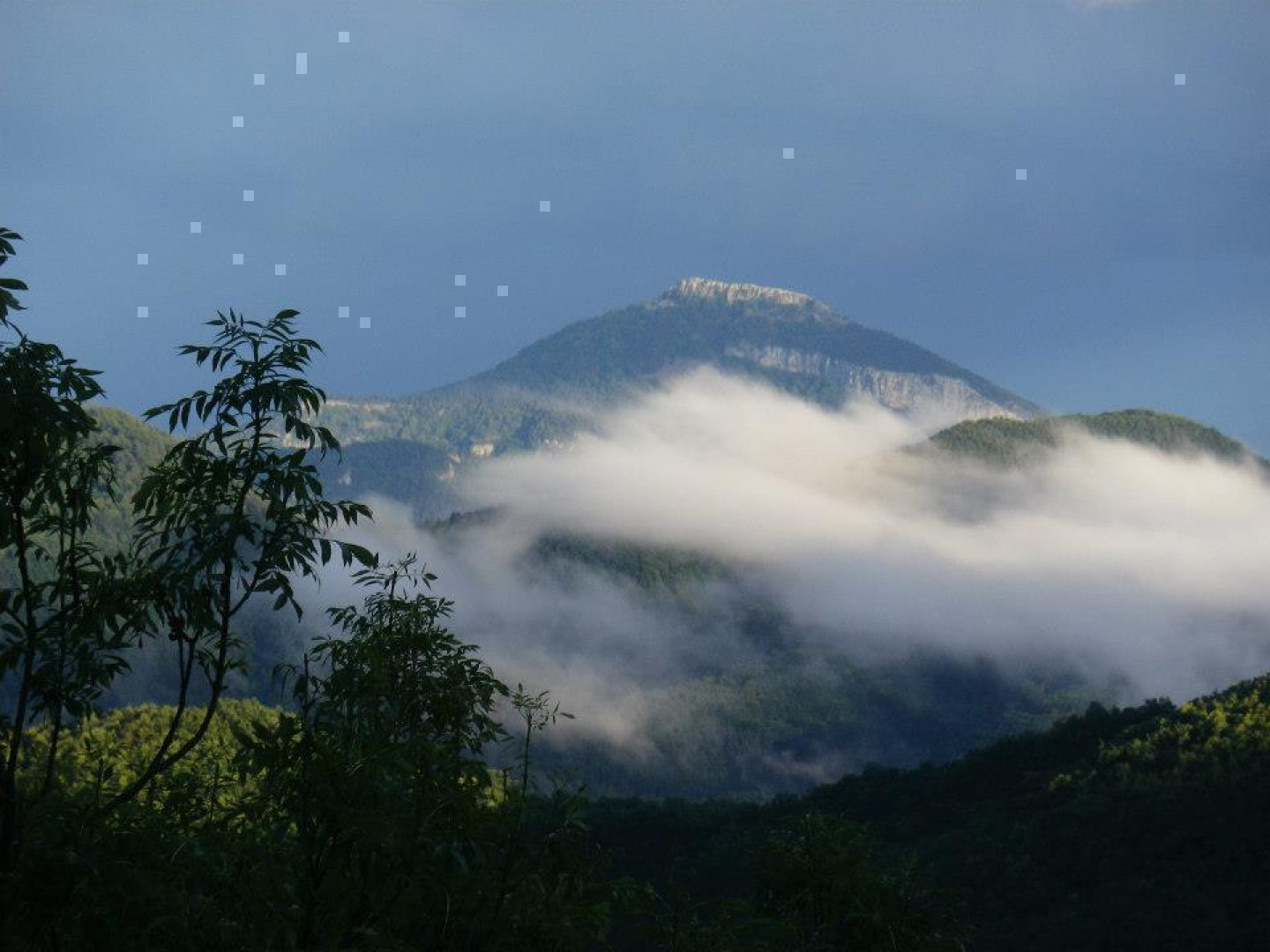 LA COUME DEL TEC, Prats-de-Mollo-la-Preste - photo 70