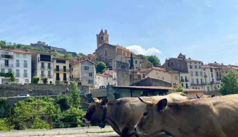 Casa d'Amunt_41