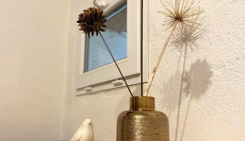 Casa d'Amunt_30