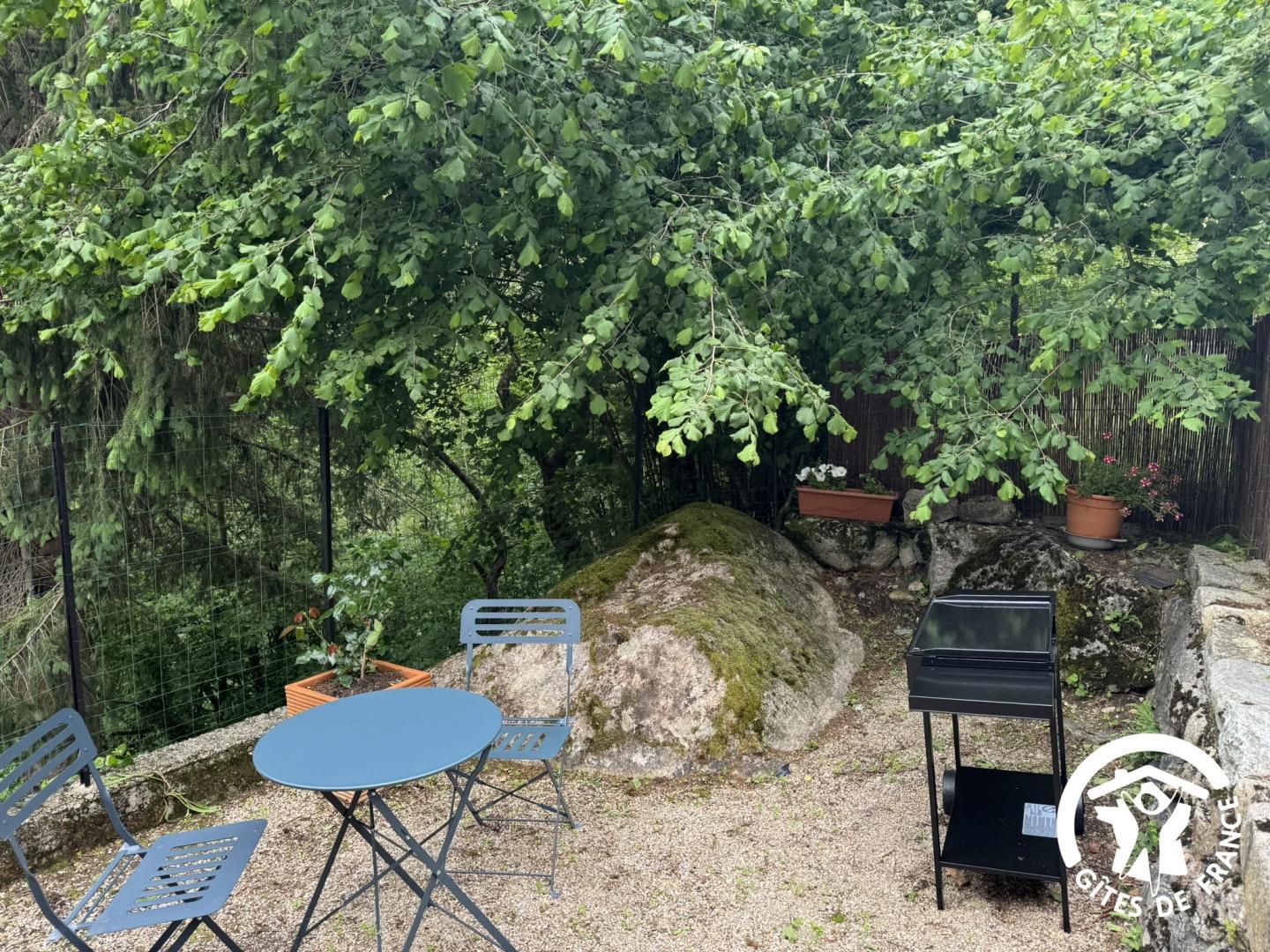LA GENETTE, Prats-de-Mollo-la-Preste - photo 15