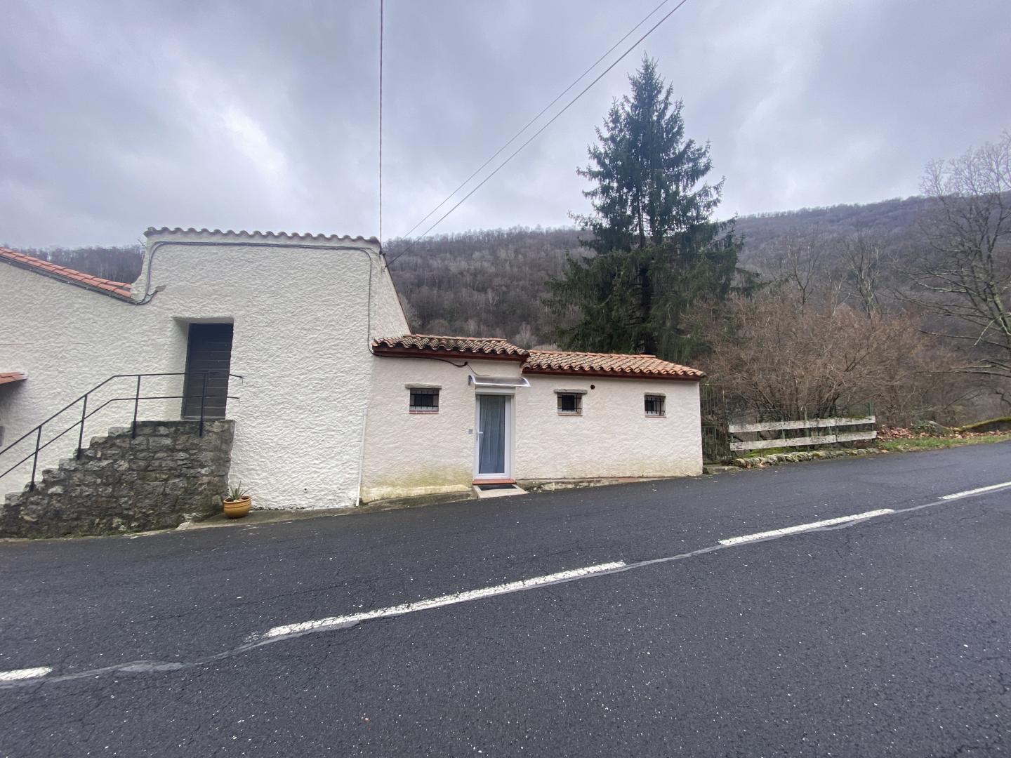 LA GENETTE, Prats-de-Mollo-la-Preste - photo 21