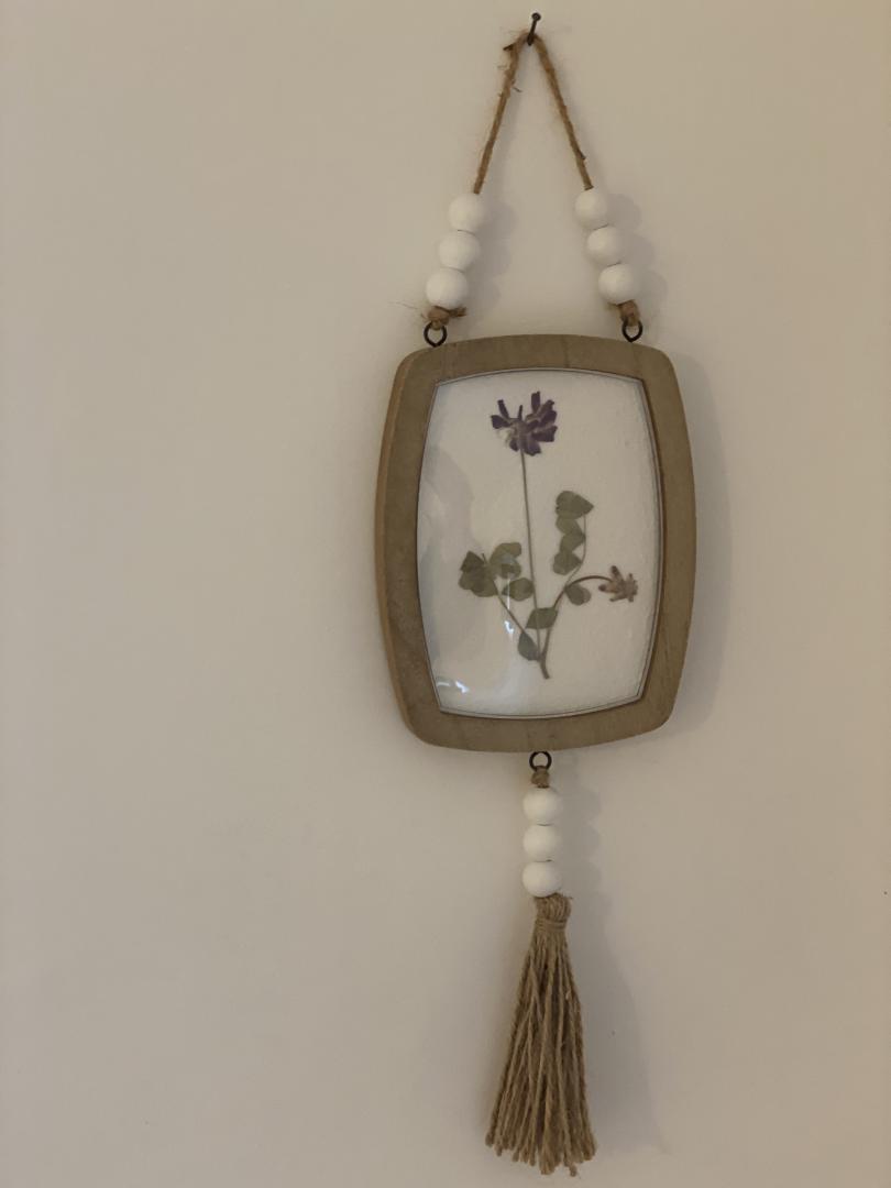 LES VOLETS BLEUS, Prunet-et-Belpuig - photo 11