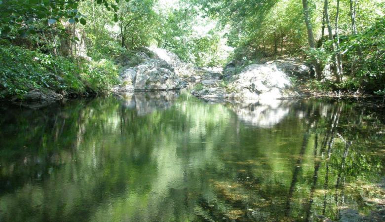 Cote sud_15