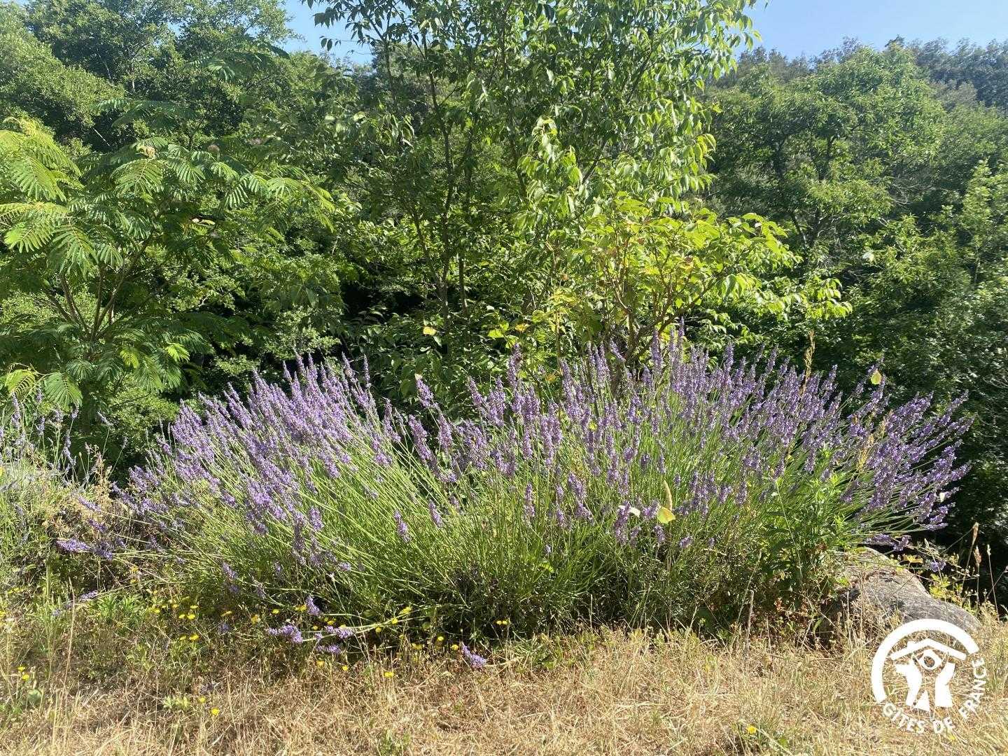 ALS ANDROUIX, Reynès - photo 35