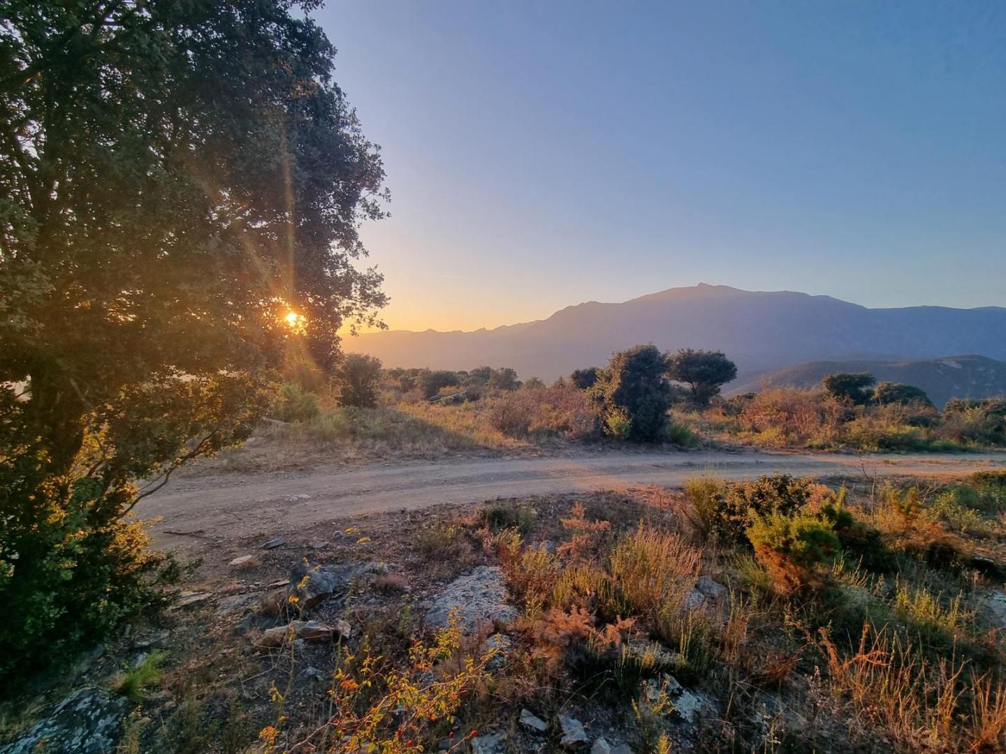 MAS SEULS AU MONDE, Ria-Sirach - photo 2